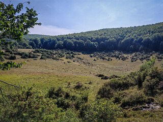 Fototapeta premium Scenic panorama of Mohos Crater in Hungary’s Bükk Mountains, with open grassy basin and forested hills under a summer sky.
