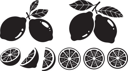 Lemon Citrus Fruit Vector Illustration Set for Refreshing Summer Designs