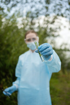 Young biologist examining plant sample in the field