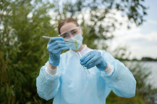 Young female biologist observing natural ecology process