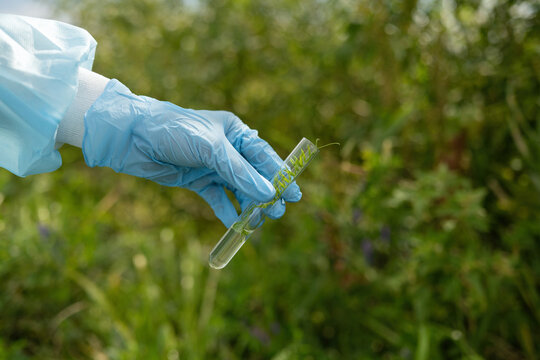 Young biologist collecting plant samples in the field