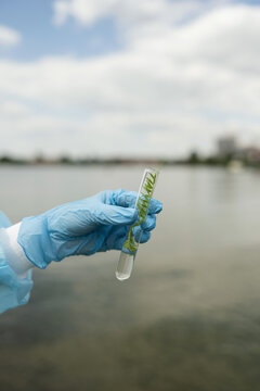 Biologist Analyzing Water Sample for Environmental Study