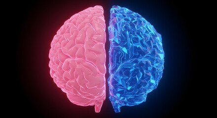Split brain concept symbolizing left and right hemisphere functionality and contrast