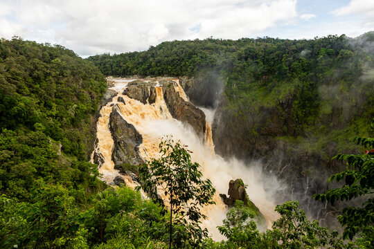Majestic view of Barron Falls cascading through rainforest