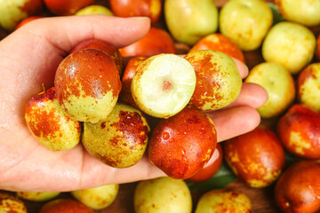 Fresh Jujube Dates from Zhanhua Shandong - Sweet Crispy Winter Fruit in Hand