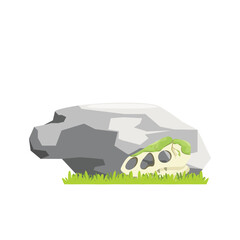 Large Stone with Fossil Skull Illustration