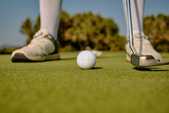 Golf putter and ball on green during sunny day