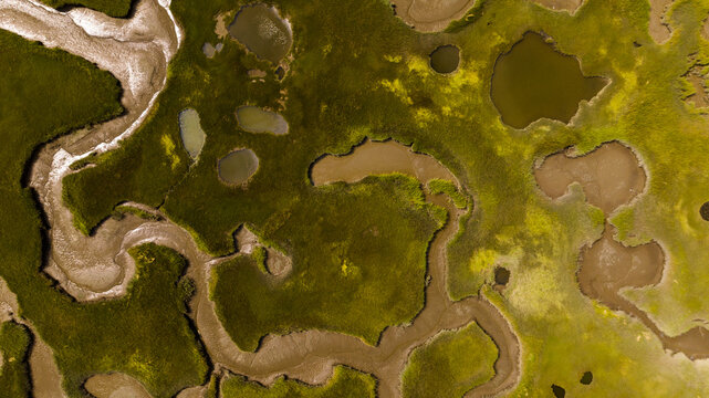 Aerial view of winding waterways carving through golden-green marshland, with a top-down view showing a tapestry of textures and contrasting tones. Gray's Beach, Cape Cod, United States.