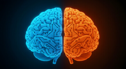 Split brain visualization showing contrasting blue and orange hemispheres