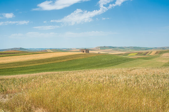 Rolling fields under blue skies in Puglia, Italy
