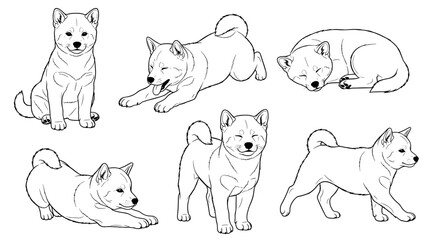Six cute Shiba Inu dogs in various playful poses, showcasing their adorable nature and energy