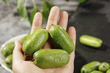 Fresh Small Green Kiwi Berries in Hand with Water Drops - Healthy Organic Fruit Harvest Concept