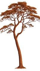 Obraz premium 紅木の叙事詩