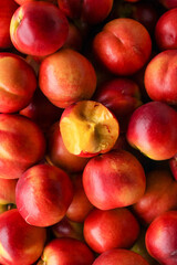 Fresh Dalian Nectarines with Yellow Flesh - Ripe Stone Fruit from Chinese Orchard