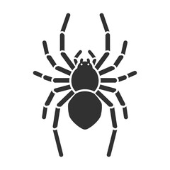 Simple Black Spider Silhouette with Eight Legs and Two Body Segments