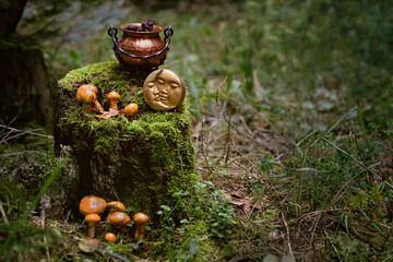 witch copper cauldron, symbolic moon amulet, mushrooms in forest, natural background. Magic ritual,...