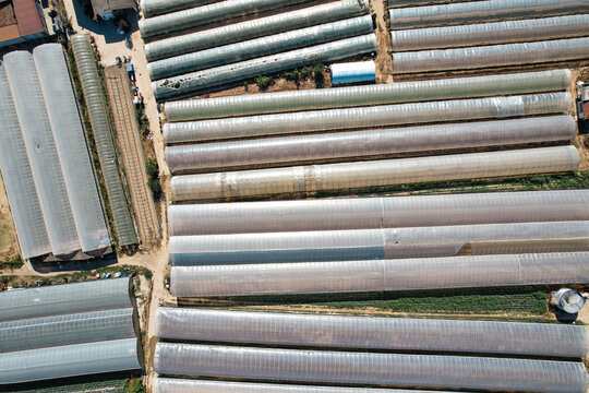 Aerial view of rows of greenhouses create a geometric pattern, their translucent roofs reflecting the sunlight in a checkerboard of light and shadow, Bra, Bra, Italy.