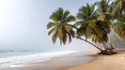 Fototapeta premium A foggy sunrise reflecting on wet sand at a mystical beach, coconut trees, wide-angle shot, soft glow on the horizon, gentle waves coming in, dreamlike escape mood, fine art nature photography