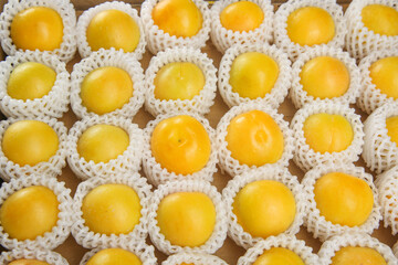 Golden Apricots in White Protective Foam Packaging Netting for Premium Fruit Transport and Market Display