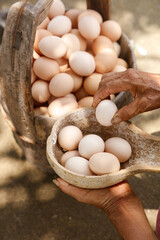 Fresh Farm Eggs in Rustic Wooden Basket Held by Farmer's Hands on Ground