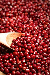 Fresh Red Small Beans from Guizhou China Farm Harvest with Wooden Spoon