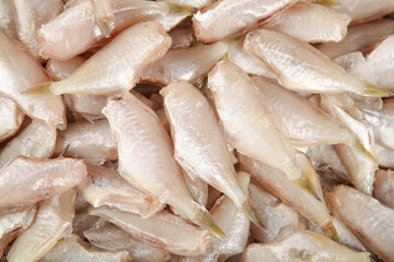Fresh Raw White Fish Fillets Ready for Cooking - Seafood Ingredients Background