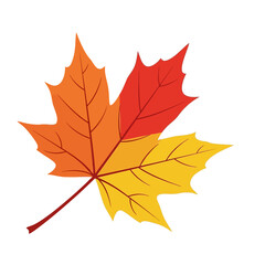 Colorful Autumn Maple Leaf Vector Illustration