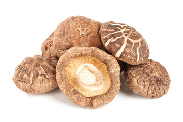 Fresh Shiitake Mushrooms Still Life Display on White Background