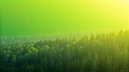 Vibrant green forest canopy bathed in warm golden sunlight from above