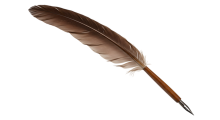 Brown quill pen shows intricate feather texture against a black background for stationery or historic book design.