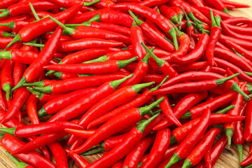 Fresh Red Chili Peppers from Chautauqua Farmers Market - Spicy Hot Vegetables for Cooking