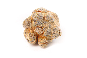 Wenshan Panax Pseudoginseng Dried Roots - Traditional Chinese Medicinal Herbs on White Background