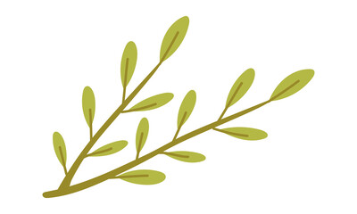 Green twig with leaves. Flat colored isolated illustration. Forest object. Broken young twig. Small leaves on the twig. Design for postcards. Picnic, hike, walk in the forest