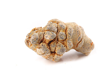 Wenshan Chinese Panax Pseudoginseng Roots Traditional Herbal Medicine Herbs on White Background