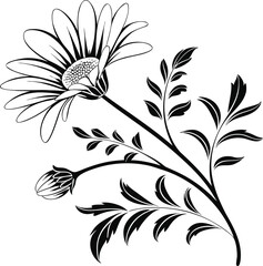Daisy Flower with Detailed Petals vector, Long-Stemmed Daisy Illustration, Serrated Leaf Daisy Vector, Detailed Botanical Daisy vector Design