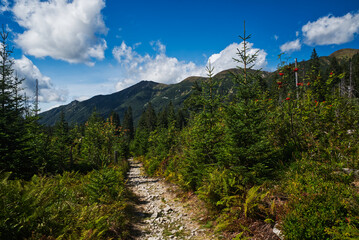 Koprova dolina valley with Liptovske kopy mountain ridge on the background in Tatra mountains in Slovakia © honza28683
