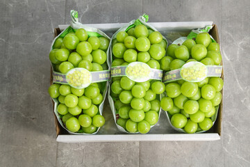 Fresh Japanese Green Seedless Grapes in Packaging Box Ready for Market Distribution