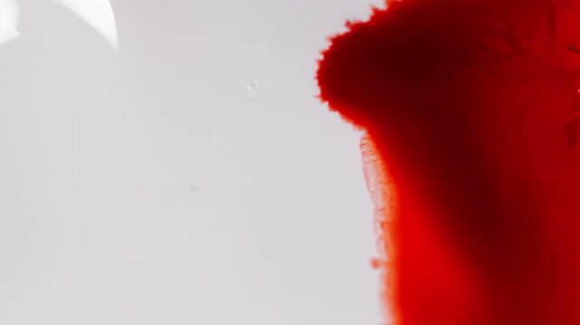Deep Red Fluid Color Spreading On White Surface. Abstract