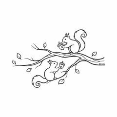 Vector art of two cute squirrels sitting on a tree branch and eating nuts, hand drawn vector illustration in doodle style