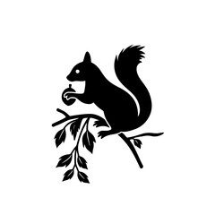 Vector art of black silhouette of a squirrel sitting on a branch and holding an acorn, vector illustration