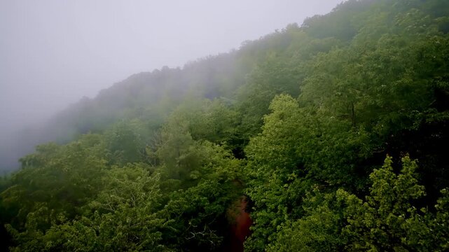 Drone captures ethereal atmosphere of fog-bound mountains.