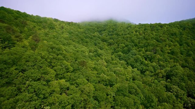 Smooth drone flight showing foggy layers across the Smokies.