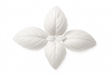 Five white basil leaves forming a cross shape, isolated on a transparent background, creating a simple yet elegant design