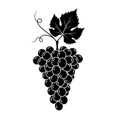 Vector art of a bunch of grapes with a leaf, , perfect for wine designs and other food related projects and themes
