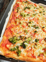 Tasty homemade organic vegetarian pizza on a baking plate