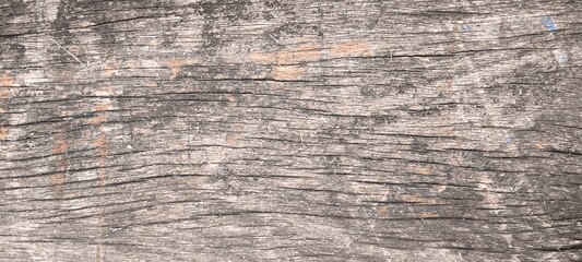 Fototapeta premium Natural old wood texture for the background