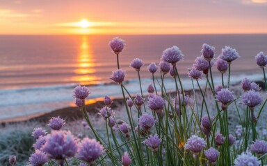 Obraz premium Purple Flowers in Sunset: A tranquil scene where purple flowers bloom, their delicate forms set against the backdrop of the serene ocean meeting the setting sun.