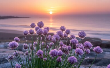 Fototapeta premium Coastal Blooms at Dawn: Delicate purple blossoms dance in the gentle breeze along the coastline, framed by a tranquil sunrise reflecting on the calm sea. A picture of nature's poetry