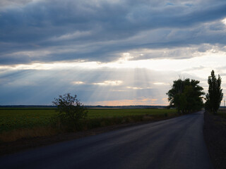 Dramatic Sunset over a Long Country Road with Sunflower Fields