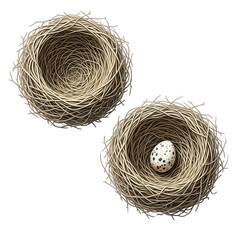 Two natural bird nests one empty and one with a single speckled egg isolated on transparent background